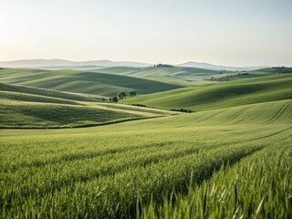 Obraz premium Minimalist Panoramic View of Rolling Green Hills and Grassland Pastures
