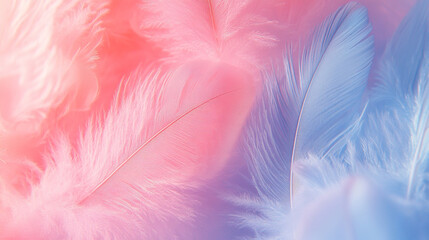 Feathers in a soft background with pastel, neutral, and colorful tones showcasing fragility and beauty, minimalistic design with bright light, blurred textures, and empty caption space


