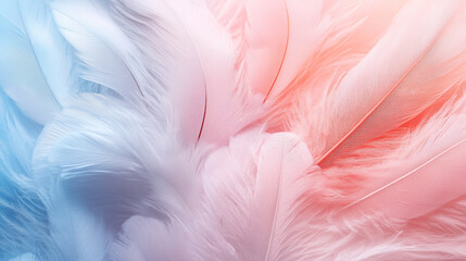 Feathers in a soft background with pastel, neutral, and colorful tones showcasing fragility and beauty, minimalistic design with bright light, blurred textures, and empty caption space

