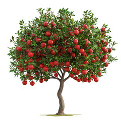 Apple tree full of ripe red apples