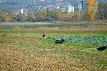 a man working in the field