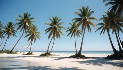 Una playa tropical con palmeras, un cielo azul claro y una orilla arenosa