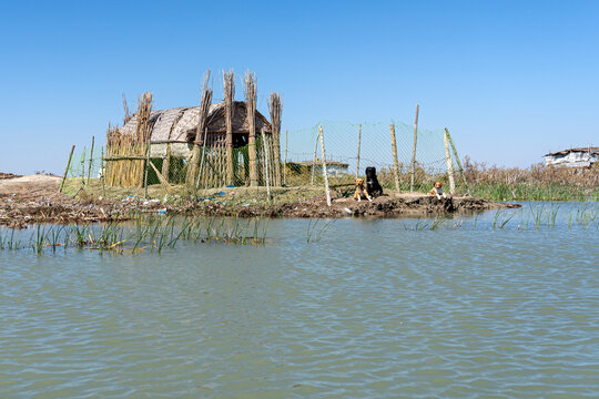 Reed house of Marsh Arabs, Mesopotamian Marshes, Ahwar of southern Iraq, Unesco site, Iraq