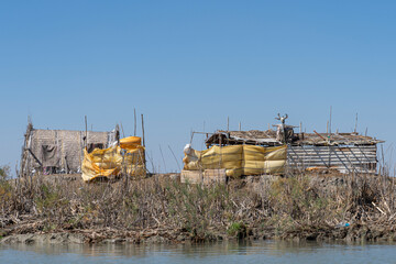 Reed house of Marsh Arabs, Mesopotamian Marshes, Ahwar of southern Iraq, Unesco site, Iraq