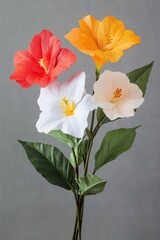 Colorful Tropical Flowers on Gray Background for Floral Decor