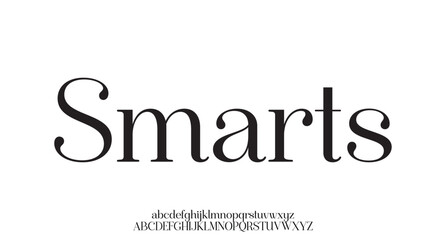 Elegant minimal luxury Font. Luxurious Glamour Exclusive Regular Font. Uppercase Lowercase and Number. Minimal Fashion Design
