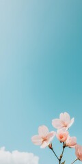 A close up of a pink flower with a blue sky in the background. The flower is the main focus of the image, and the blue sky serves as a beautiful and calming backdrop