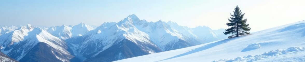 Lone pine tree on a snow-covered mountain slope, mountain slope, pine tree