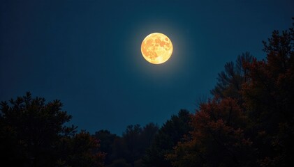 Lunar sphere glows bright in a dark sky over autumn trees, darkness, glowing moon