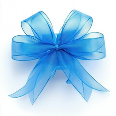 Gift Blue Bow Isolated