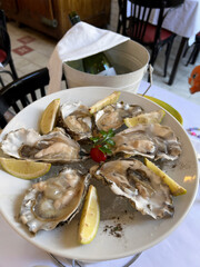 on the table there is a plate of oysters with lemon and a bottle of white wine in a bucket of ice