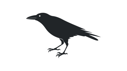 Obraz premium crow on a white background
