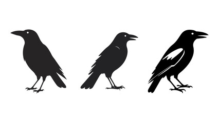 Fototapeta premium silhouettes of birds, set of bird silhouettes