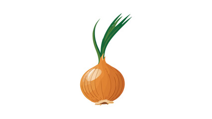 onion isolated on white, simple beautiful healthy onion vector illustration, Illustrated Yellow Onion with Green Sprouts on White Background
