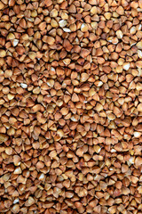 Buckwheat Close-up. buckwheat grains, brown in color with a variety of shades and textures. Buckwheat looks natural and appetizing. 