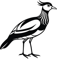 A beautiful Lapwing isolated vector illustration, Premium quality Lapwing silhouette vector art, Lapwing icon design