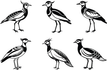A beautiful Lapwing isolated vector illustration set, Premium quality Lapwing silhouette vector art, Lapwing icon design
