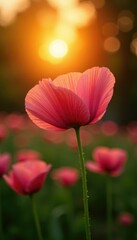Sunlit pink poppy petals shimmer in the warm orange glow, tree, nature, poppy