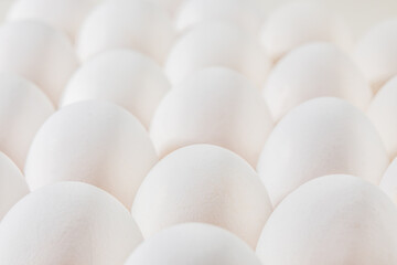 Texture of raw chicken eggs, closeup. White chicken eggs background