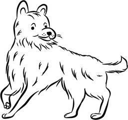 Dog. Domestic animal. Hand drawn vector isolated doodle illustration 