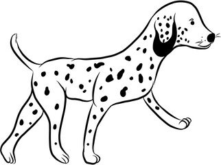 Dalmatien puppy Dog. Domestic animal. Hand drawn vector isolated doodle illustration 
