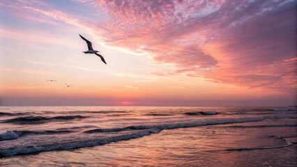 Fototapeta premium Soaring seagull silhouette against a radiant summer sky with soft pink and orange hues, reflecting off gentle waves in the foreground, summer, beautiful light