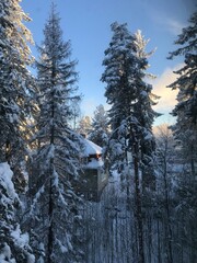 a red roof house covered with snow and pine trees under the sunset