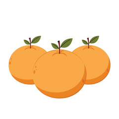 Mandarin orange on white background vector - illustration. Chinese New Year Mandarin Orange.