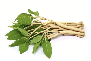 Ashwagandha Medicinal Herb - Fresh Leaves and Dry Roots of Withania Somnifera - Indian Ginseng, Winter Cherry, Poison Gooseberry Isolated on White