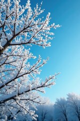 Obraz premium Frosty branches etched against a clear blue sky on a cold winter morning, stillness, branches