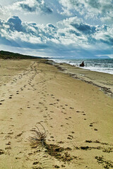 Panorama on the beach at Marina di Castagneto Carducci on a stormy day Tuscany Italy