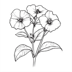 Pair of Blooming Flowers , Black and White Botanical Line Drawing