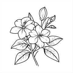 tall Bloom Stem Botanical Sketch , Hand-Drawn Flower Line Drawing
