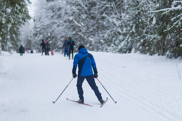 Skiing in winter on the ski trail. Winter vacation.