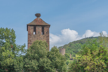 Fototapeta premium Tour de Kaysersberg, Village coloré d'Alsace avec ses maisons médiévales à colombages, France. 