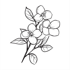 Botanical Bloom Branch Line Art, Hand-Drawn Flower Illustration
