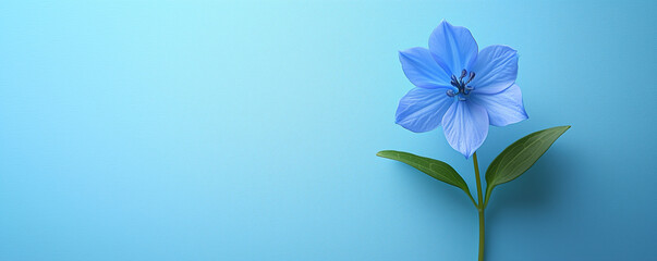 Naklejka premium Single blue flower on light blue background with green leaves