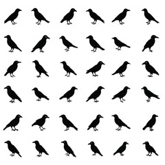 Set of crow silhouette vector.crow bird screams icon illustration.