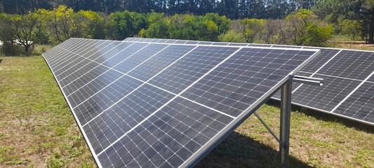 Energía renovable, paneles solares ecológicos