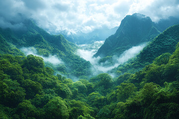 Obraz premium Misty Mountains Cloaked In Lush Green Tropical Rainforest