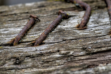 A rusty nails in a piece of wood close-up