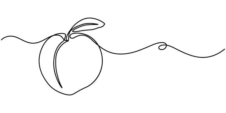 recommend clip art: Peach fruit in continuous line art drawing style. Simple black sketch made of one line isolated on white background, Apricot vector illustration. One line drawing art illustration.