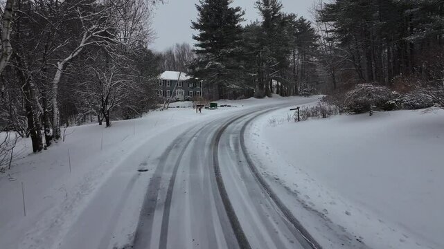 Snowy and icy street during snowstorm in american village. Witter scene between conifer trees. Single family house in suburb of Massachusetts, USA. Dolly aerial forward shot.