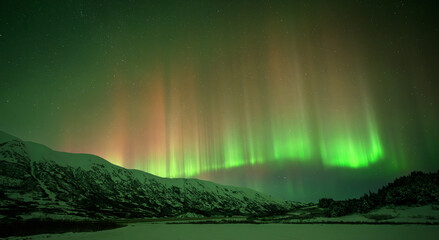 Auroras over Alaska