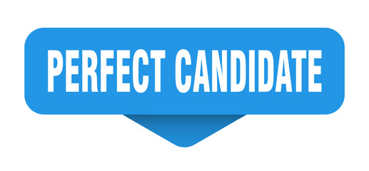 perfect candidate sticker. perfect candidate sign on transparent background