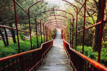 Udo Island, Jeju Island province, South Korea, Jeju-do, panoramic aerial view of coastline sea landscape in a sunny day, U-do Island, Soseom cow island, Jeju-si