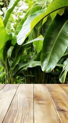 Wooden Tabletop with Lush Tropical Foliage Background