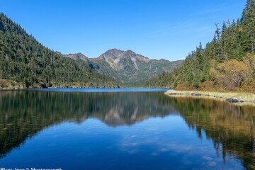 A serene mountain lake mirrors the lush greenery and towering peaks, all bathed in the golden glow of autumn sunlight beneath a crystal-clear blue sky