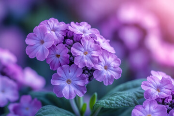 Delicate Purple Flowers Cluster Blooming Beautifully