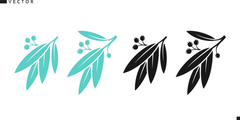 Eucalyptus branch with leaves silhouette. Eucalyptus tree vector illustration   © Aleksei_7799